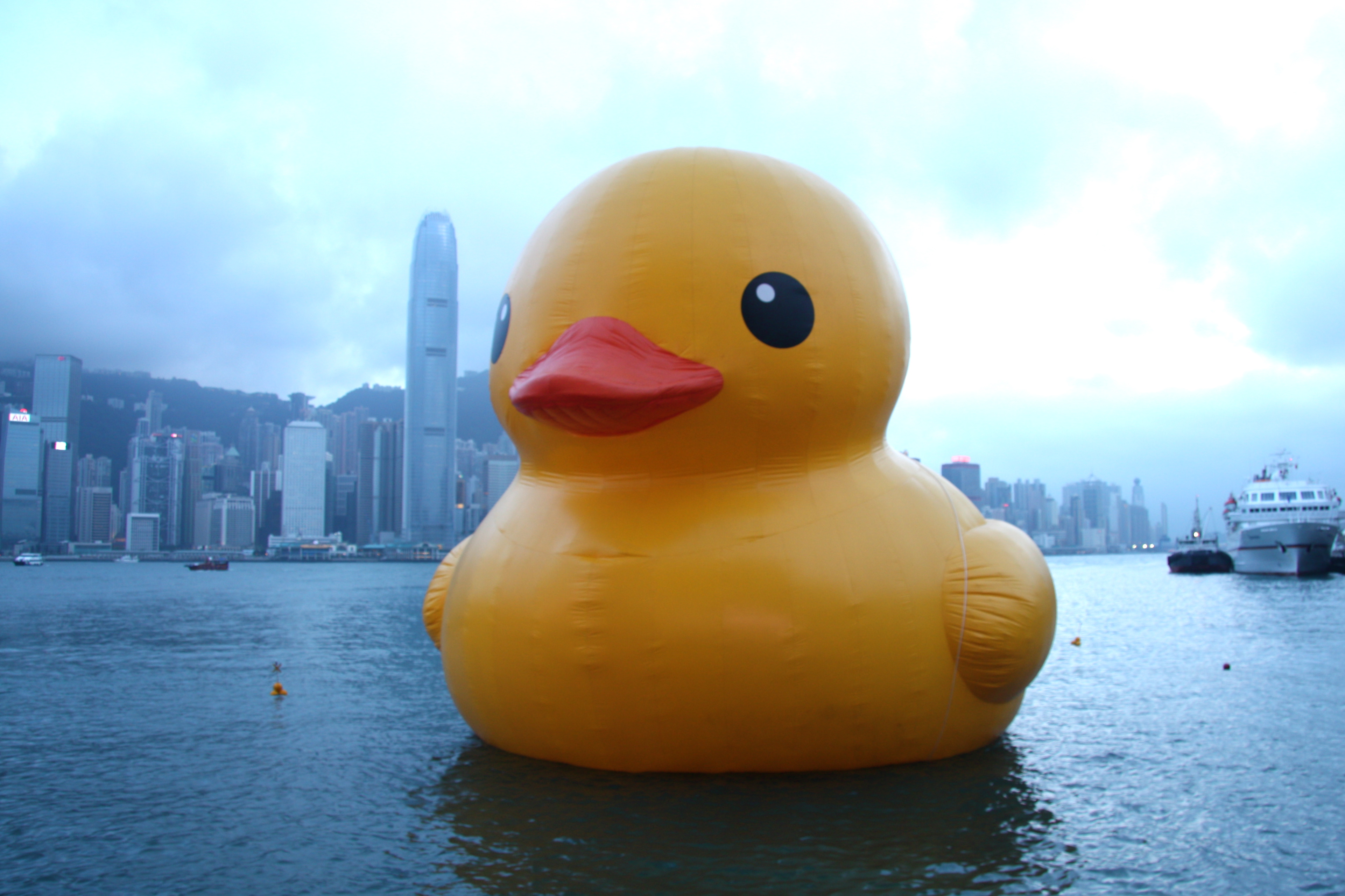 Image of a Giant Duck.
